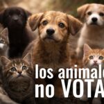 Por eso necesitan que alguien vote por ellos