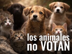 Lee más sobre el artículo Por eso necesitan que alguien vote por ellos